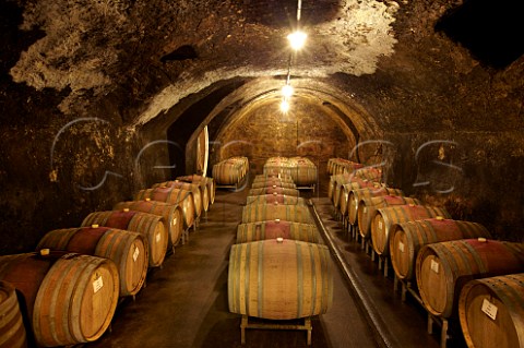 Red wine barrel cellar of Weingut Dr Brklin Wolf  Wachenheim an der Weinstrasse Pfalz Germany