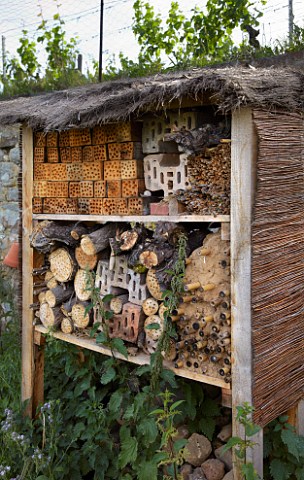 Insect hotel in the Hoheburg vineyard of Dr Brklin Wolf  Ruppertsburg Pfalz Germany