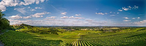 Vineyards of Joseph Mellot with the hilltop town of Sancerre and the River Loire in distance Cher France  Sancerre