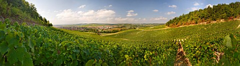 View from Vaudsir vineyard to the town of Chablis Yonne France  Chablis Premier Cru
