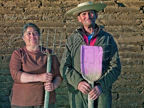Otelia Pena and her husband Nivaldo Morales  grape farmers at Sauzal Cauquenes Chile Maule Valley