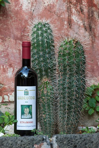 Bottle of Etna Rosso of Villa Trinit Mascalucia near Catania Sicily