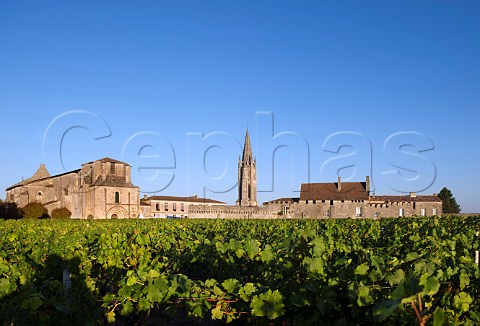 Town of Stmilion with the glise Collgiale and belltower of the monolithic church  Gironde France   Saintmilion  Bordeaux