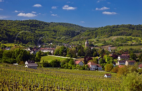 View over Les Corves vineyard above Arbois Jura France Arbois
