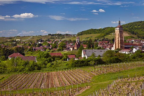 Poulsard Chardonnay and Pinot Noir vineyards at En Paradis above the church of StJust Arbois Jura France