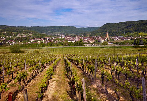 Vineyard at La Mailloche above Arbois Jura France