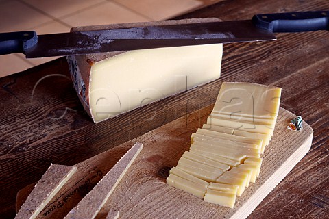 Slicing Comt cheese for tasting at Fromageries Marcel Petite Fort Saint Antoine near Malbuisson Doubs France