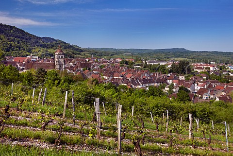 Chardonnay vineyard above town of Poligny Jura France  Ctes du Jura