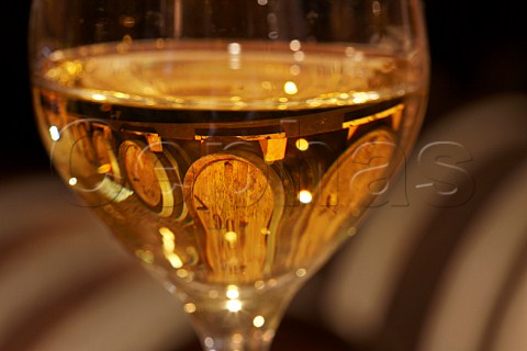 Glass of ChteauChalon in the Vin Jaune cellar of Domaine BerthetBondet ChteauChalon Jura France