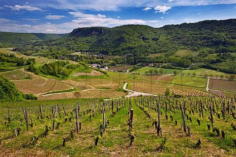 Savagnin vineyard above the River Seille and village of NevysurSeille on the slopes below ChteauChalon In distance is the Cirque de Baume Jura France  ChteauChalon
