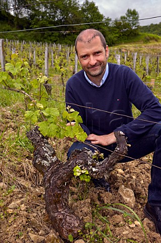 Laurent Macle born 1970 with a Savagnin vine in his Beaumont vineyard planted in that year by his father Jean Domaine Macle ChteauChalon Jura France ChteauChalon