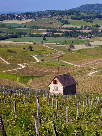 Hut in vineyards near Le Vernois Jura France Ctes du Jura