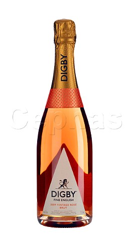 Bottle of 2009 Digby Fine English Ros sparkling wine