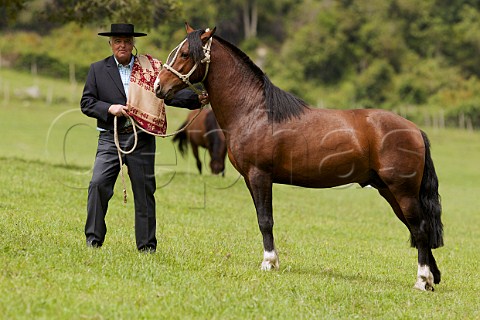 Mario Silva  father of Mario Pablo Silva and owner of Via Casa Silva  with a prize horse on the stud farm of their Lago Ranco Estate Patagonia Chile