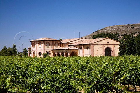 Vega Real and its vineyard Castrillo de Duero Valladolid province Spain Ribera del Duero