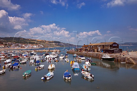 The Cobb and harbour at Lyme Regis Dorset UK
