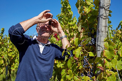 Frdric Lornet using a refractometer to measure the ripeness of grapes before harvest in his Trousseau des Dames vineyard  planted with cuttings from his fathers vineyard in 2002   MontignylsArsures Jura France Arbois