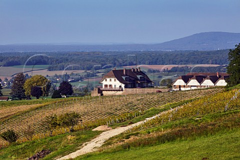 Winery and vineyards of Domaine de la Pinte Arbois Jura France