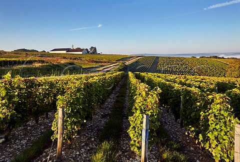 Winery of Domaine Jonathan Didier Pabiot Les Loges near PouillysurLoire Nivre France  PouillyFum