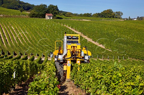 Machine harvesting Sauvignon Blanc grapes in vineyard of Domaine Andr Robineau Sancerre Cher France  Sancerre