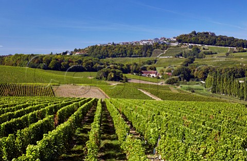 The hilltop town of Sancerre viewed over vineyards from the south  Cher France Sancerre