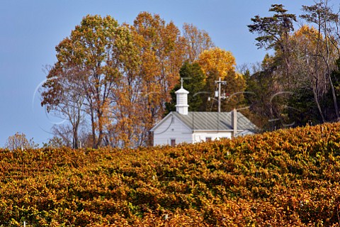 Barboursville Vineyards in the autumn with Knights Chapel Barboursville Virginia USA Monticello AVA