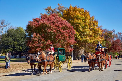 Horse drawn carriages on Duke of Gloucester Street Colonial Williamsburg Virginia USA