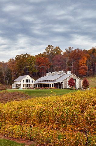 Autumnal vineyard by the restaurant and tasting room at Pippin Hill Farm North Garden Virginia USA Monticello AVA
