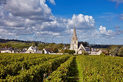Cabernet Franc vineyard of Chteau de Villeneuve and village of SouzayChampigny MaineetLoire France  SaumurChampigny