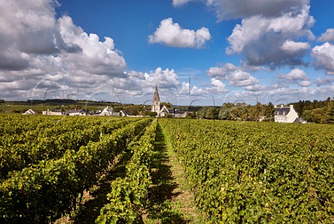 Chteau de Villeneuve and its Cabernet Franc vineyard at SouzayChampigny MaineetLoire France  SaumurChampigny