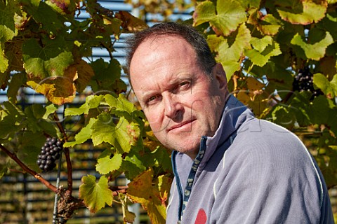 Mark Driver owner in Pinot Noir vineyard of Rathfinny Wine Estate Alfriston Sussex England
