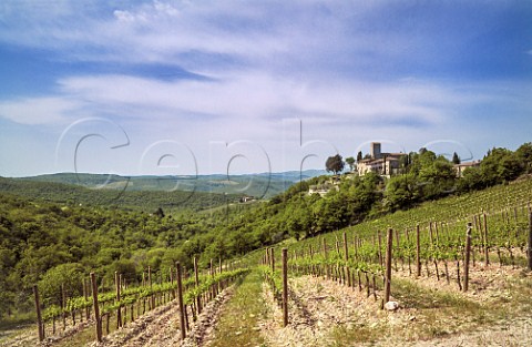 Castello dAlbola of Zonin above its vineyard Radda in Chianti Tuscany Italy Chianti Classico