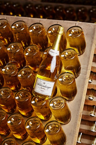 Bottles of Sekt sparkling wine in pupitre Sektkellerei Schlumberger Vienna Austria
