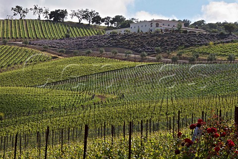 Daou Vineyards and winery on Daou Mountain in the Adelaida District Paso Robles California  Paso Robles 