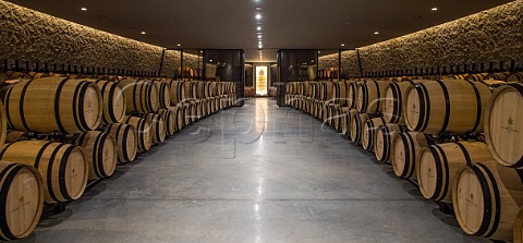 Barrel cellar of Chteau Les Carmes HautBrion Pessac Gironde France PessacLognan  Bordeaux