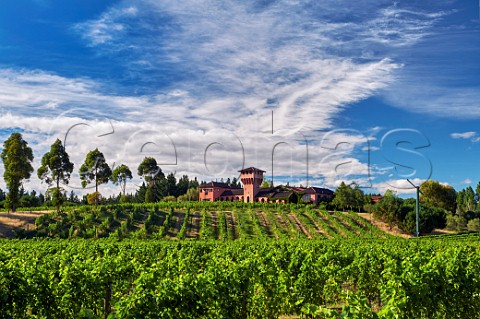 Highfield winery and vineyard  Blenheim Marlborough New Zealand