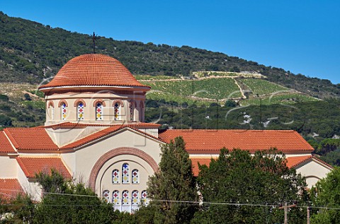 Hillside vineyards of the Robola Wine Cooperative above Agios Gerasimos Monastery in the Omala Valley Cephalonia Ionian Islands Greece