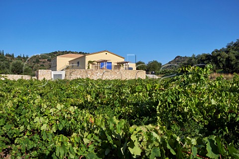 Sclavos winery and Vostildi vineyard  Lixouri Paliki Peninsula Cephalonia Ionian Islands Greece
