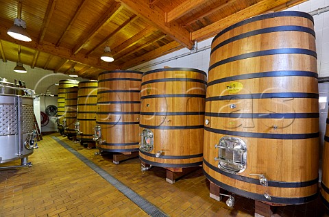 Oak fermenters in Abada da Cova winery of Adegas Moure Near Escairn Galicia Spain Ribeira Sacra  subzone Ribeiras do Mio