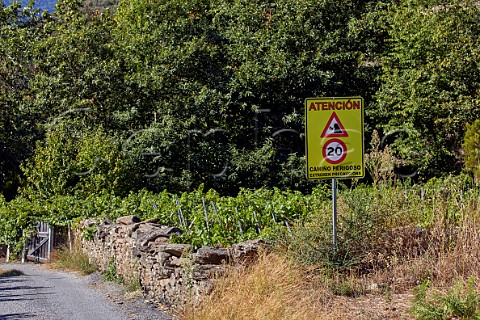 Danger sign on road in the valley of the Ro Sil  Doade Galicia Spain  Ribeira Sacra  subzone Amandi