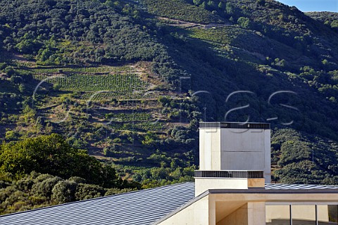 Winery of Descendientes de J Palacios with terraced vineyards on the hillside beyond  Corulln Castilla y Len Spain  Bierzo