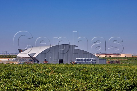 Winery and vineyard of Bodegas Reina de Castilla with Bodegas Naia beyond La Seca Castilla y Len Spain  Rueda