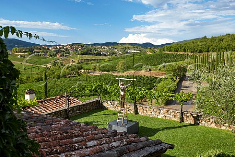 Vineyards of Colle Bereto Radda in Chianti Tuscany Italy  Chianti Classico