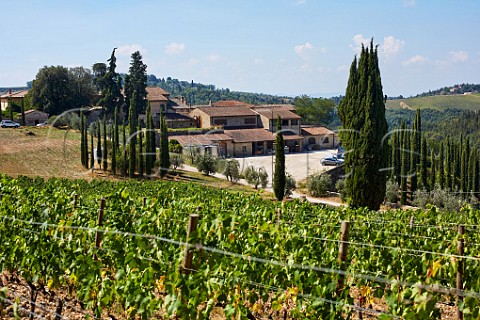 Vineyard and winery of Isole e Olena Barberino Val dElsa Tuscany Italy Chianti Classico