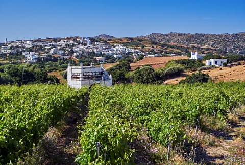 Dovecot in Mavrothiriko vineyard of Vaptistis Winery with village of Falatados beyond Mesi Tinos Greece