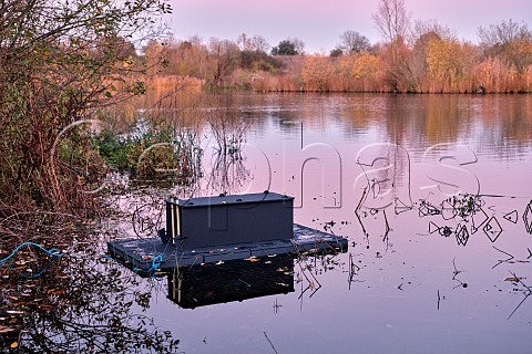 Mink trap on a nature reserve lake Part of a project to eradicate this invasive predator from southeastern England
