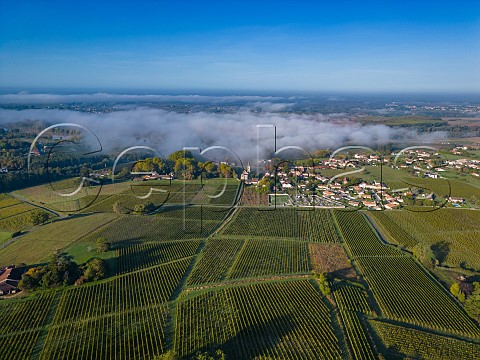Autumn fog in the Garonne Valley at Loupiac  Gironde France  Cadillac Ctes de Bordeaux