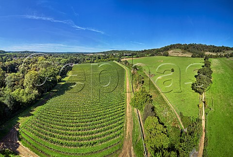 Chilworth Manor Vineyard with the Downs Link bridleway leading to St Marthas Hill and church top right Chilworth Surrey England