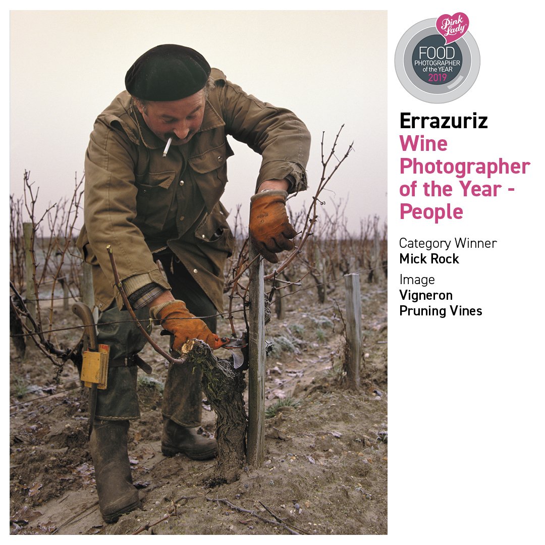 Vigneron pruning vines at Chateau Leoville-Barton.