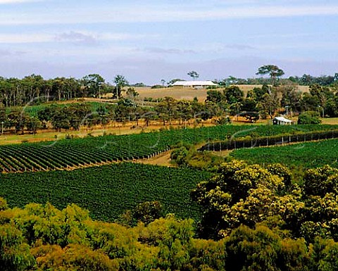 Brookland Valley vineyard Wilyabrup Margaret   River Western Australia